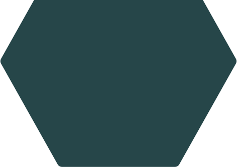ved.mybloggingfirm.com